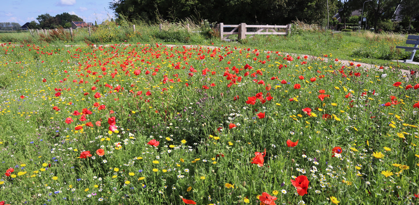 Kruidenrijk grasland, kruidenrijk grasland kopen, kruiden, platform kruidenrijk grasland, melkveehouders, vooruitstrevend met kruidenrijk grasland, grootste aanbod kruidenrijk grasland, graszaad, engels raaigras, kruidenmengsel grasland, vruchtbaarheid verhogen kruiden, kruiden zaden kopen online, kruidenmengsel zaaien, kruiden graszaad