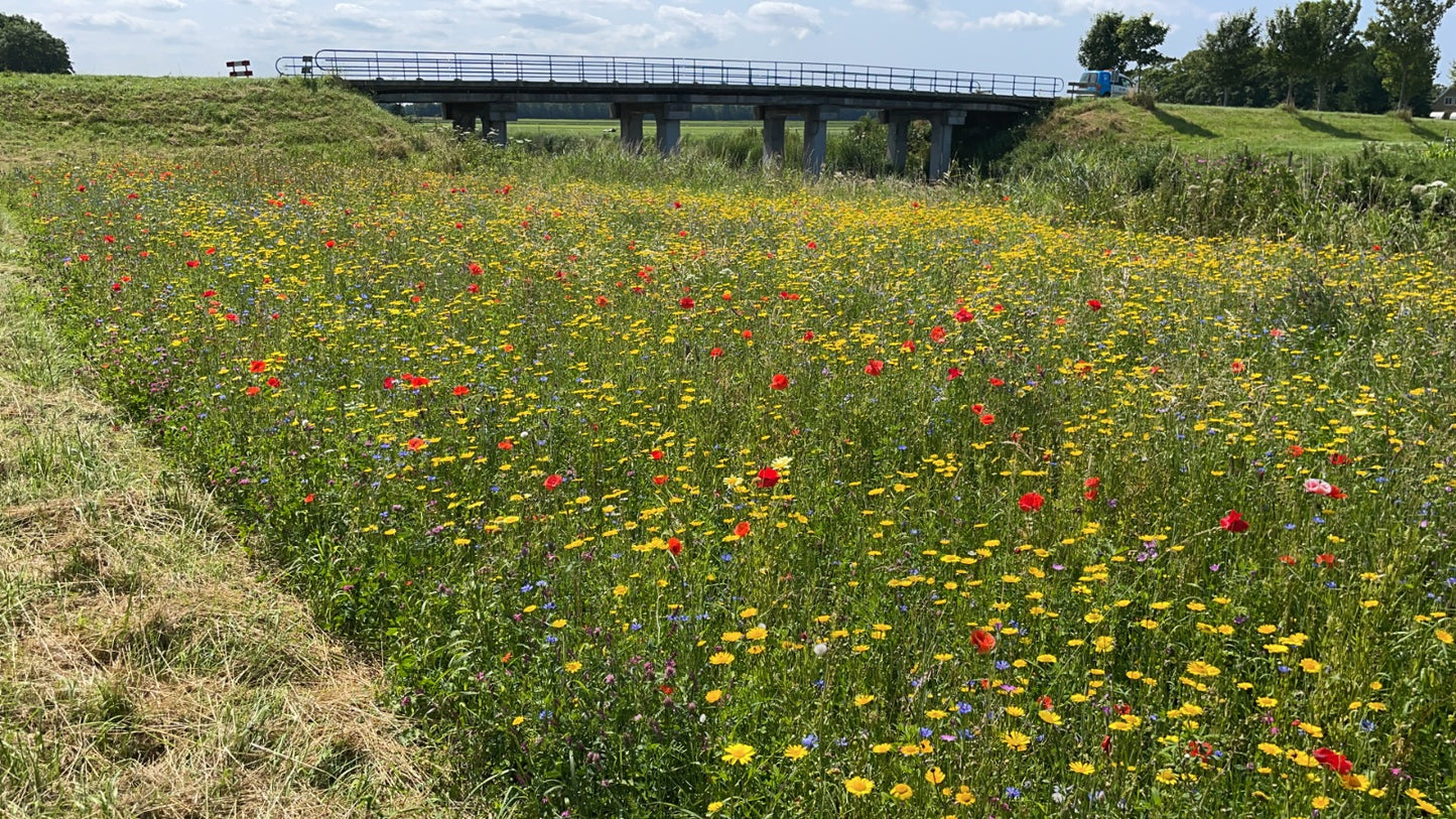Kruidenrijk grasland, kruidenrijk grasland kopen, kruiden, platform kruidenrijk grasland, melkveehouders, vooruitstrevend met kruidenrijk grasland, grootste aanbod kruidenrijk grasland, graszaad, engels raaigras, kruidenmengsel grasland, vruchtbaarheid verhogen kruiden, kruiden zaden kopen online, kruidenmengsel zaaien, kruiden graszaad