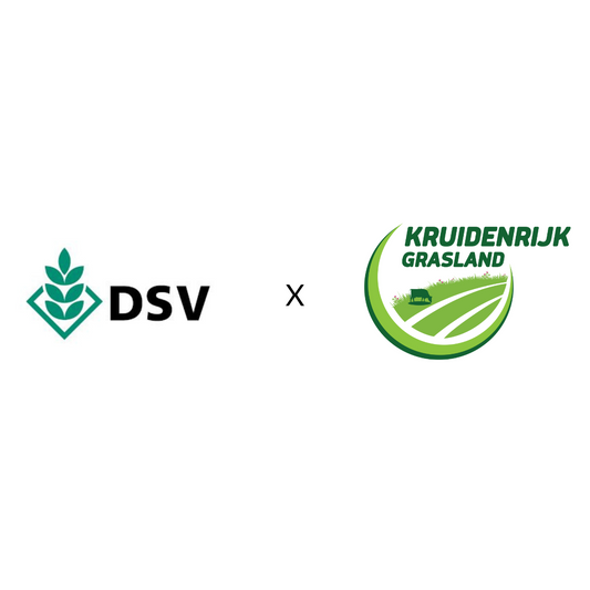 Kruidenrijk grasland, graslandmengsels, DSV zaden, Country mengsel