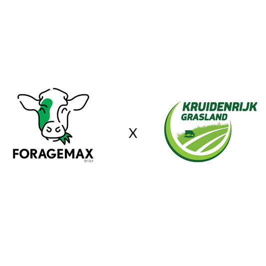 Kruidenrijk grasland, graslandmengsels, DLF zaden, Foragemax