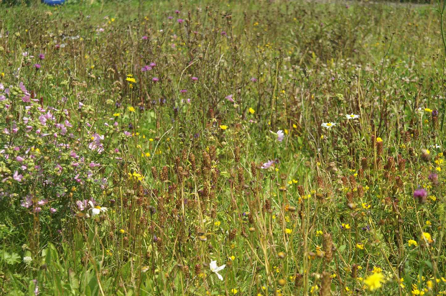 BWV1 | Weidemengsel veengrond - 10kg - De Bolderik